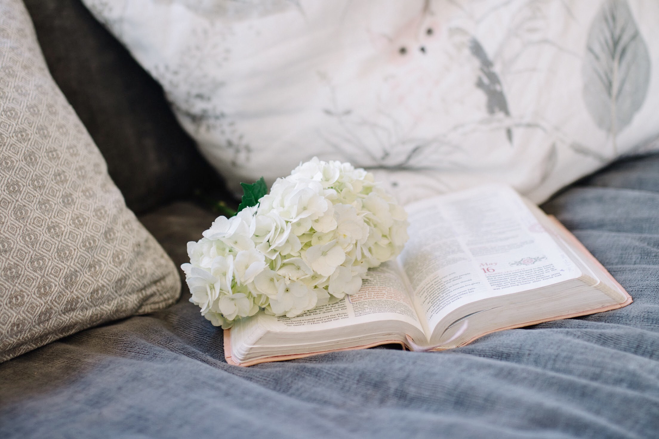 So, You’ve Struggled To Read Through the Bible? You’re Not Alone.